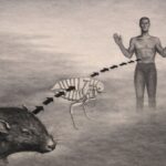 A Plague on Their House 