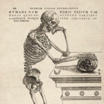 Biblioscopy: A Glimpse of New and Upcoming Books 