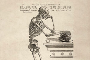 Biblioscopy: A Glimpse of New and Upcoming Books 