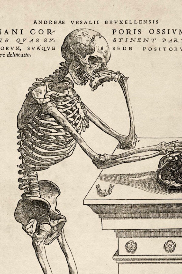 Biblioscopy: A Glimpse of New and Upcoming Books 