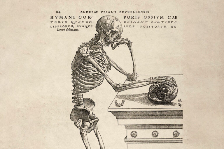 Biblioscopy: A Glimpse of New and Upcoming Books