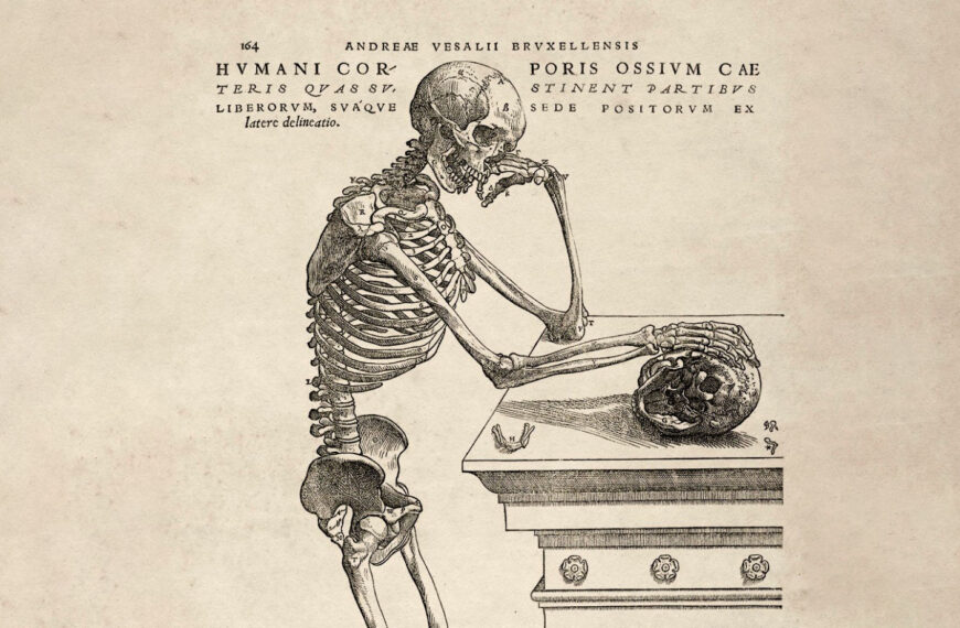 Biblioscopy: A Glimpse of New and Upcoming Books 