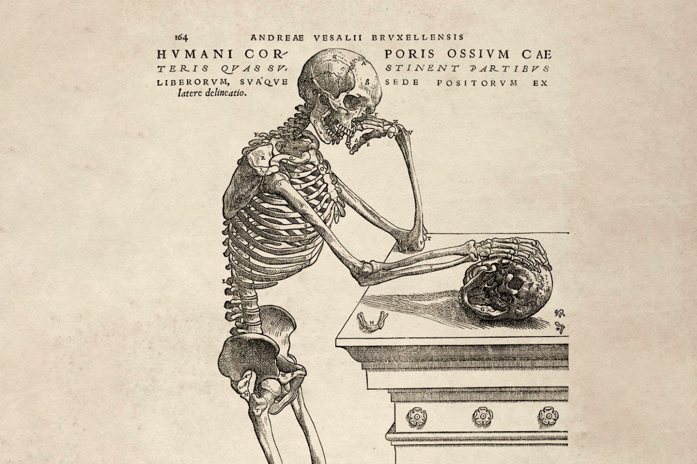 Biblioscopy: A Glimpse of New and Upcoming Books 