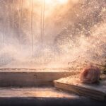 I Watched You Disappear by Anya Krugovoy Silver