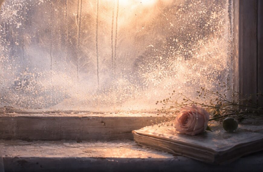 I Watched You Disappear by Anya Krugovoy Silver