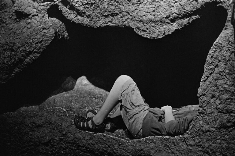 Michael Pollan Trips over Consciousness 